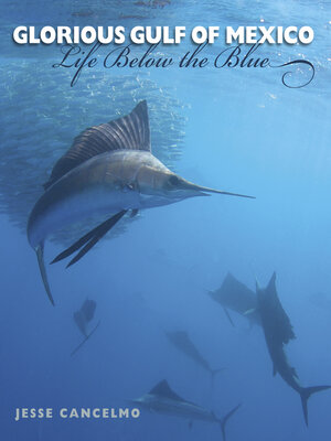cover image of Glorious Gulf of Mexico
